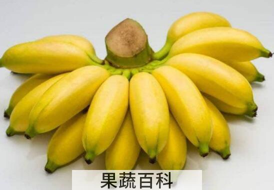 山蕉和香蕉的区别 吃山蕉的好处