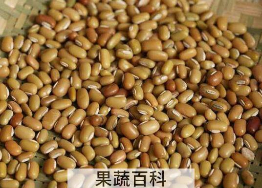 巴山豆的功效和作用 巴山豆的营养价值