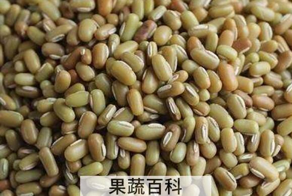 爬豆的功效与作用 吃爬豆的好处