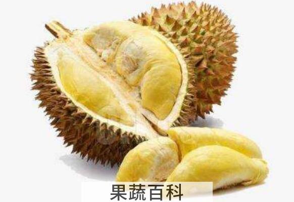 女人必吃的暖宫水果 什么水果暖宫效果好