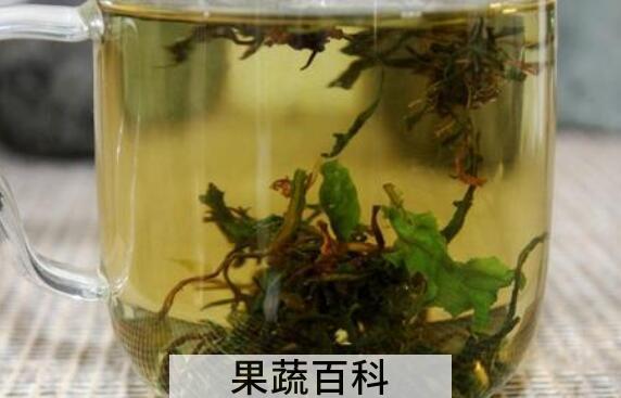 苦菜茶的功效与作用及禁忌症