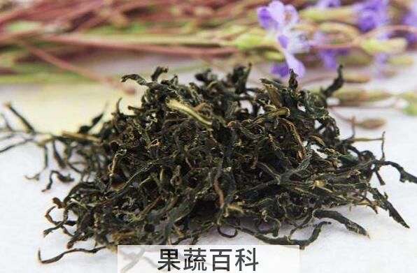 苦菜茶的功效与作用及禁忌症
