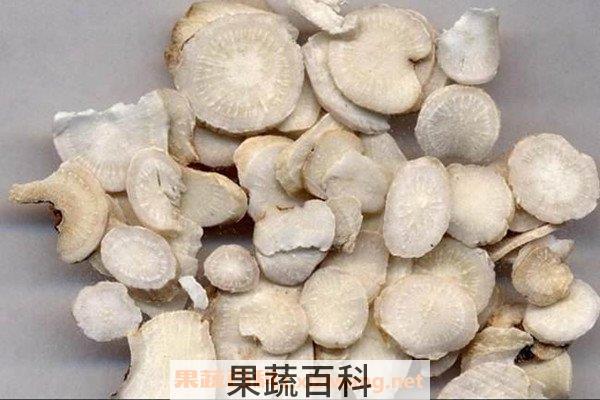 白芍药