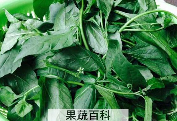 白花菜素炒怎么做好吃