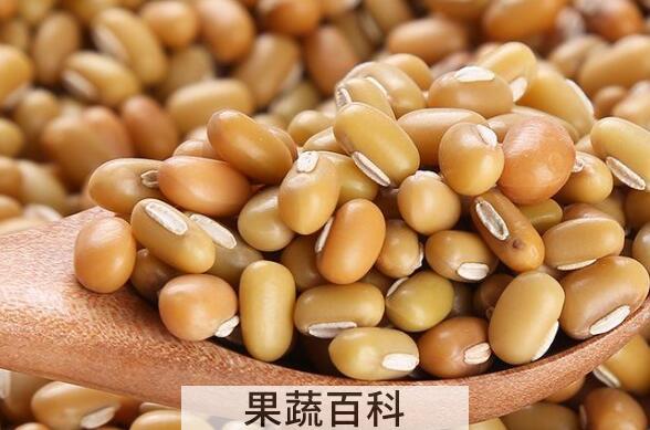 竹豆的功效与作用及禁忌