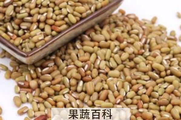 竹豆的功效与作用及禁忌