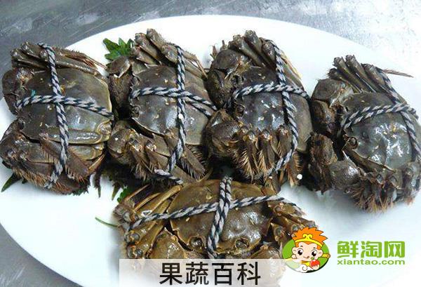 大闸蟹为什么叫大闸蟹，阳澄湖大闸蟹和洪泽湖大闸蟹的区别