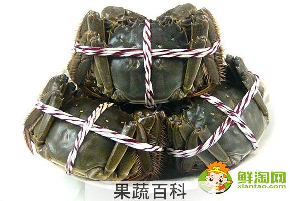 大闸蟹为什么叫大闸蟹，阳澄湖大闸蟹和洪泽湖大闸蟹的区别