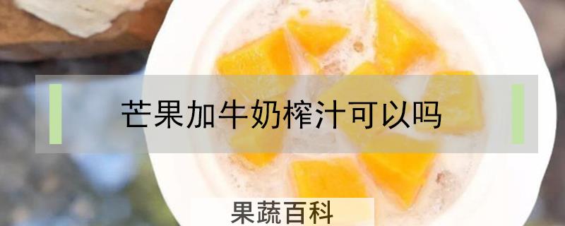 芒果加牛奶榨汁可以吗