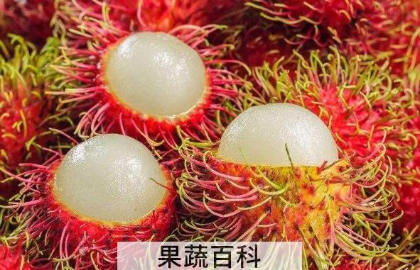 红毛丹的核膜怎么去掉 红毛丹怎么吃不沾核皮