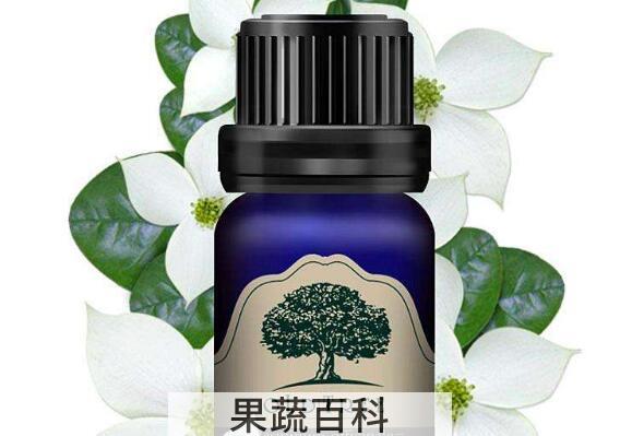茉莉精油的丰胸作用 茉莉精油怎么用