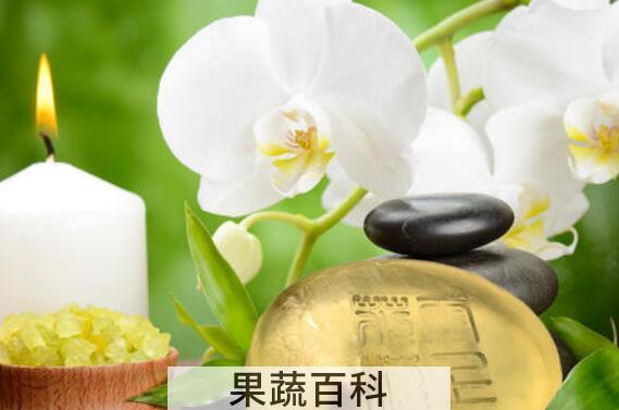 茉莉精油的丰胸作用 茉莉精油怎么用