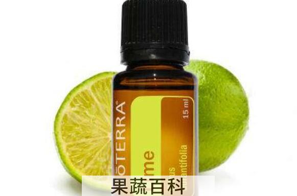 莱姆精油的用途与作用