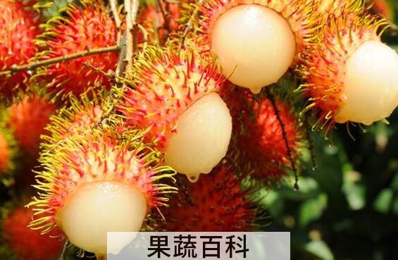 红毛丹过敏怎么办