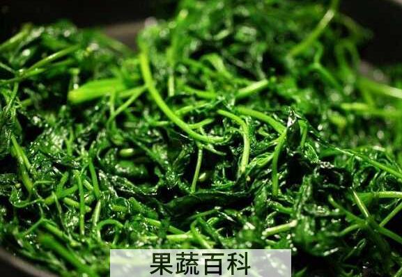 野生白花菜怎么吃 野生白花菜的做法教程