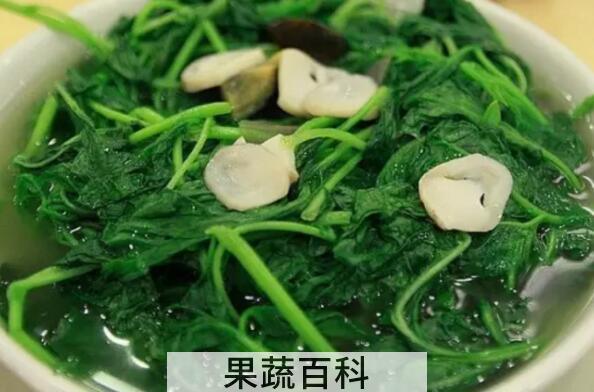 哪些人不宜吃白花菜 白花菜的副作用有哪些