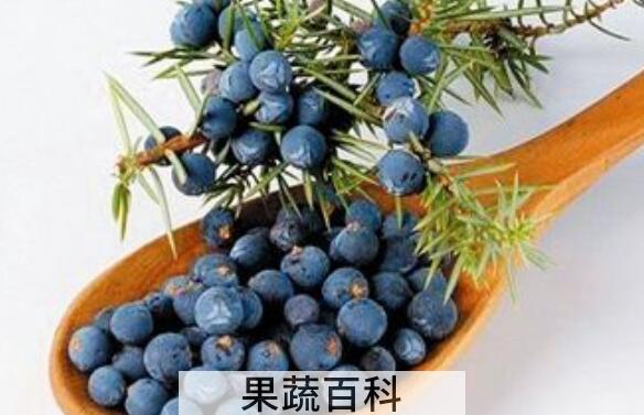 杜松子精油怎么用 杜松子精油的使用方法