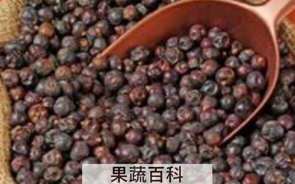 杜松子精油的功效与作用 杜松子精油怎么用