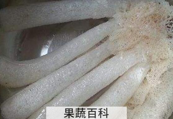 竹荪要用盐水泡什么原因 竹荪怎么泡发快