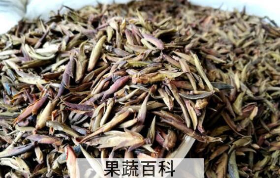 芽孢茶的功效与作用 芽孢茶属于什么茶
