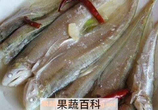 长江回鱼的功效与作用