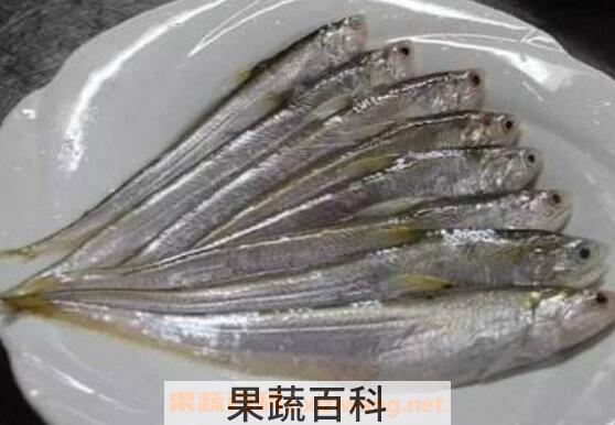 长江回鱼的功效与作用