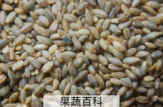 青稞米怎么煮好吃 青稞米的食用方法