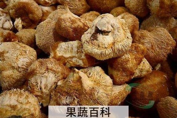干猴头菇怎么泡发 干猴头菇一般泡多久