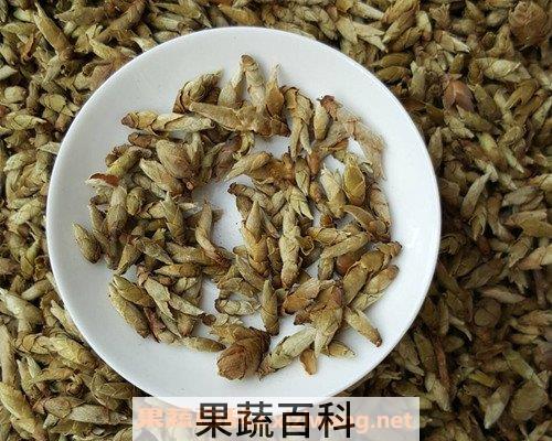 芽孢茶