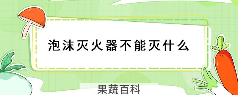 泡沫灭火器不能灭什么