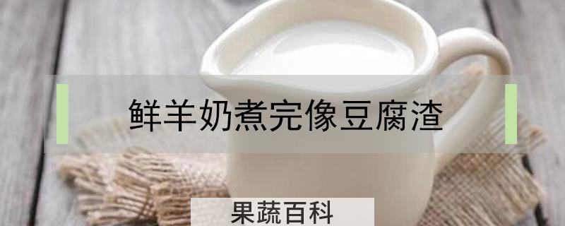 鲜羊奶煮完像豆腐渣