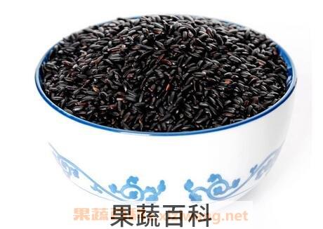 黑米的功效与作用 黑米的药用价值