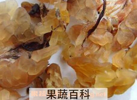 雪蛤的功效与作用 血蛤哪些人不能吃