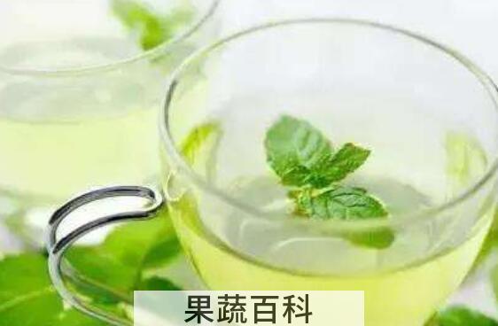 薄荷叶泡水的功效与作用及禁忌