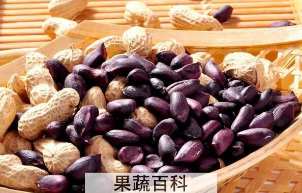 黑肉花生的功效与作用 黑肉花生的禁忌