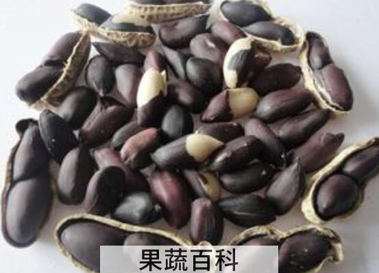 黑肉花生的功效与作用 黑肉花生的禁忌