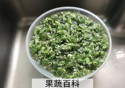 韭菜花的功效与作用 韭菜花的禁忌
