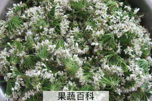 韭菜花的功效与作用 韭菜花的禁忌
