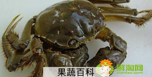 大闸蟹礼券哪个牌子好，盘锦河蟹阳澄湖大闸蟹哪个好吃
