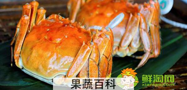 大闸蟹礼券哪个牌子好，盘锦河蟹阳澄湖大闸蟹哪个好吃