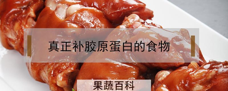 真正补胶原蛋白的食物