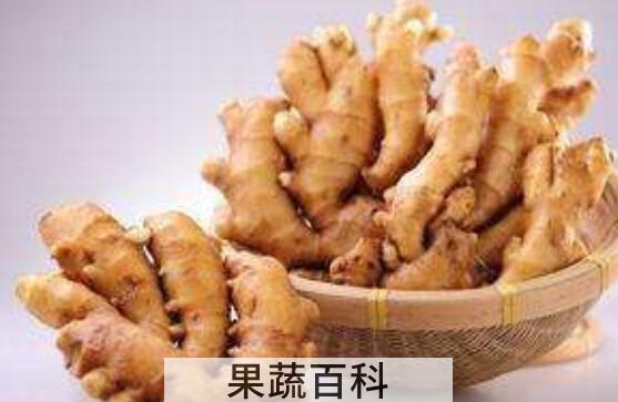 茅岩姜的功效与作用及禁忌