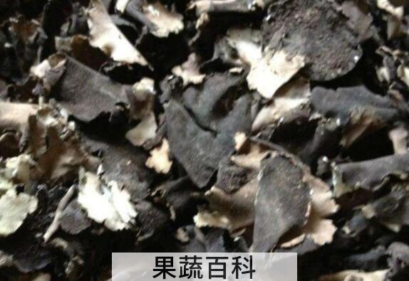 岩耳怎么吃 岩耳的家常吃法