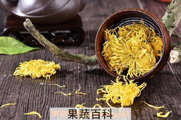 金丝皇菊的功效与作用及食用方法