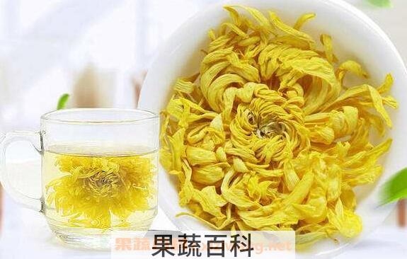 金丝皇菊的功效与作用及食用方法