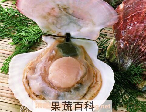 扇贝怎么洗最干净 清洗扇贝的方法技巧