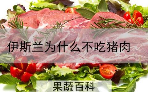 伊斯兰为什么不吃猪肉