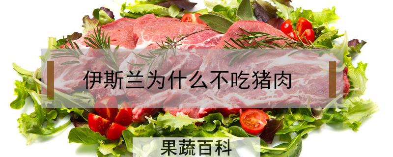 伊斯兰为什么不吃猪肉