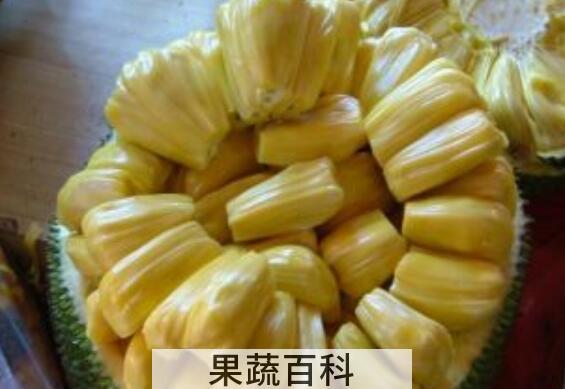 吃菠萝蜜的7大禁忌 吃菠萝蜜的好处