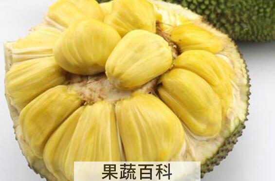 吃菠萝蜜的7大禁忌 吃菠萝蜜的好处